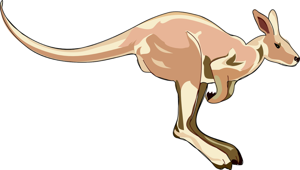 kangaroo, mammal, marsupial-47875.jpg